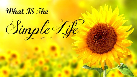 What IS The Simple Life?