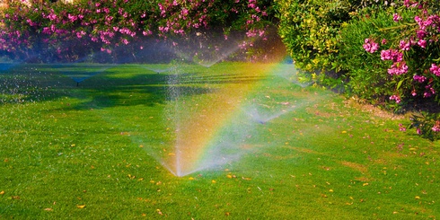 beautiful lawn getting watered with a rainbow