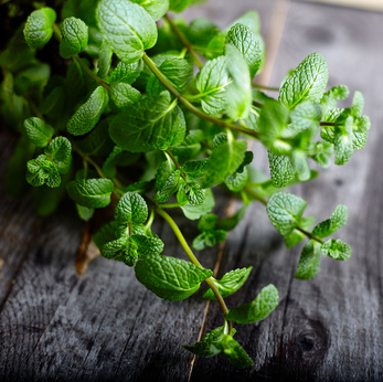 Peppermint herb leaves on a rustic table
