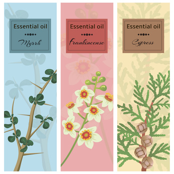 Myrrh, Frankincense, and Cypress poster
