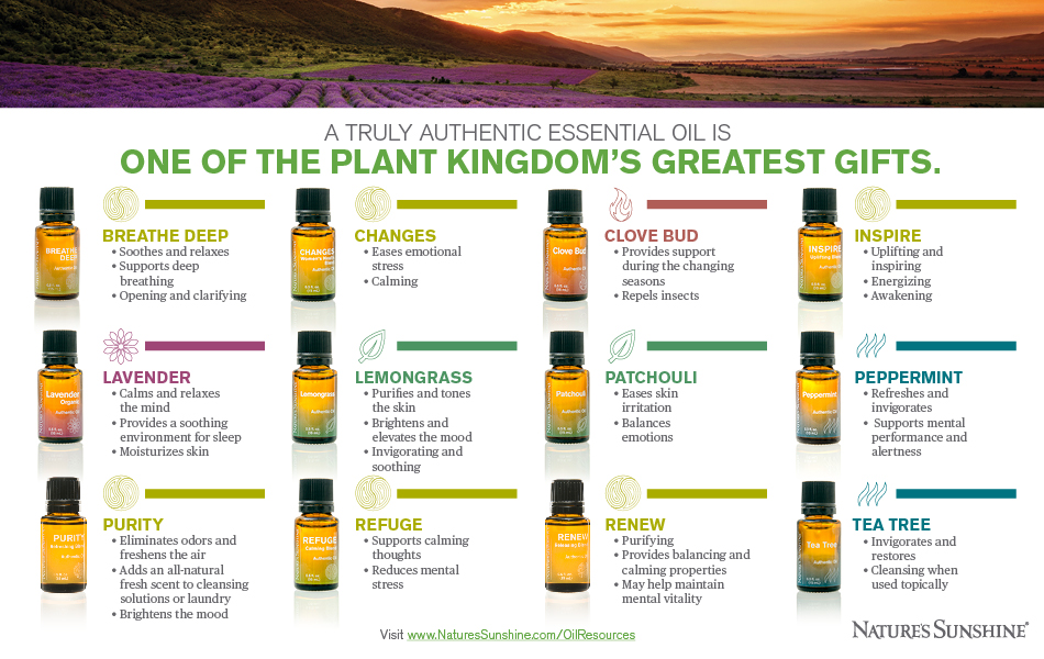Infographic pn essential oils