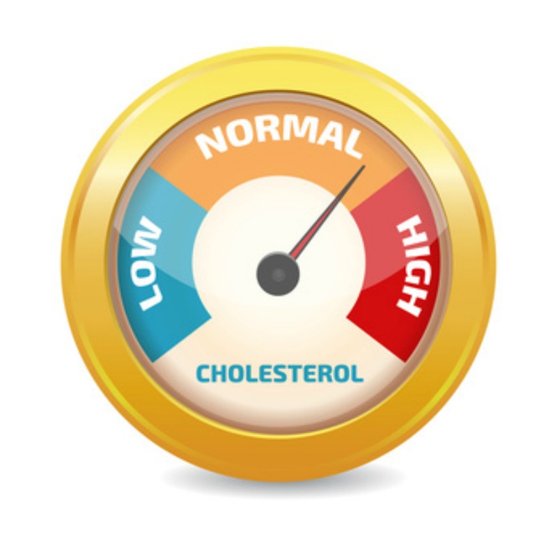 Cholesterol Meter pointing to the high side