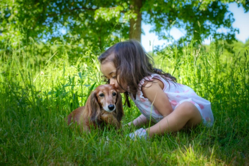 A dachshund with a little girl