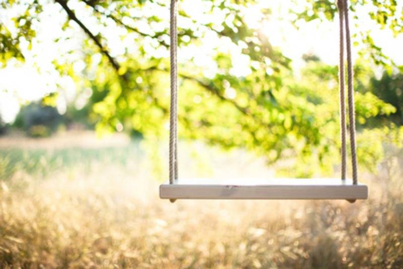 A swing on ropes in a farm field