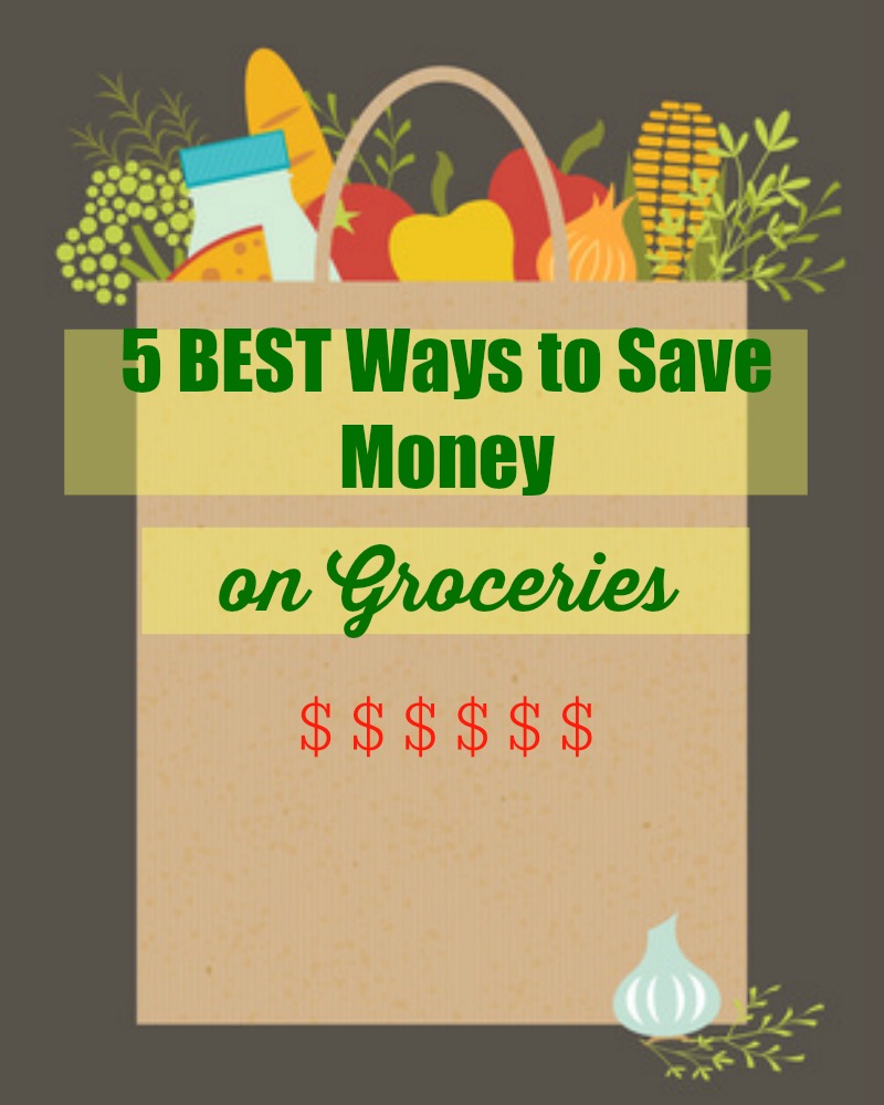 5 BEST Ways to Save Money on Groceries